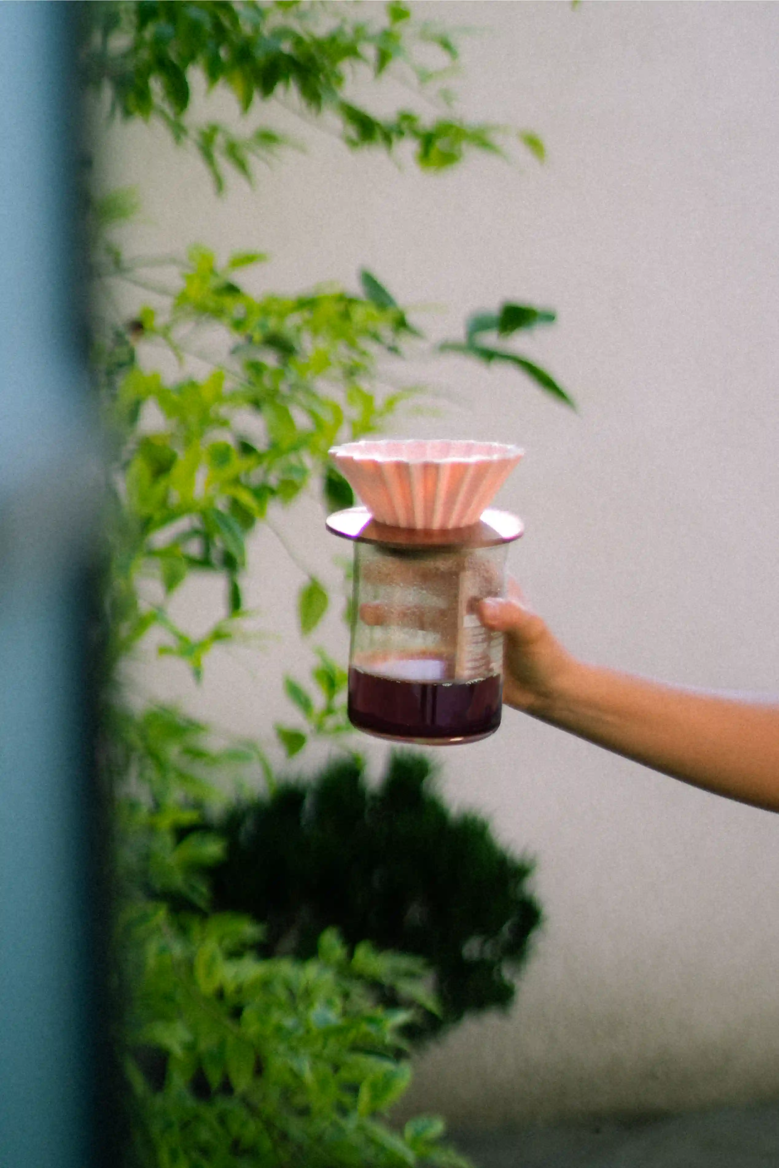 Café filtrado en método Origami