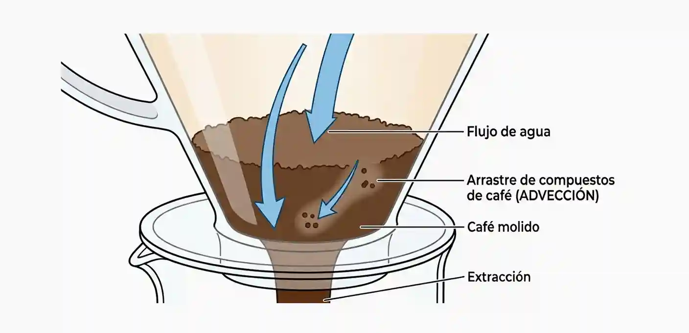 Diagrama de la advección en la extracción del café
