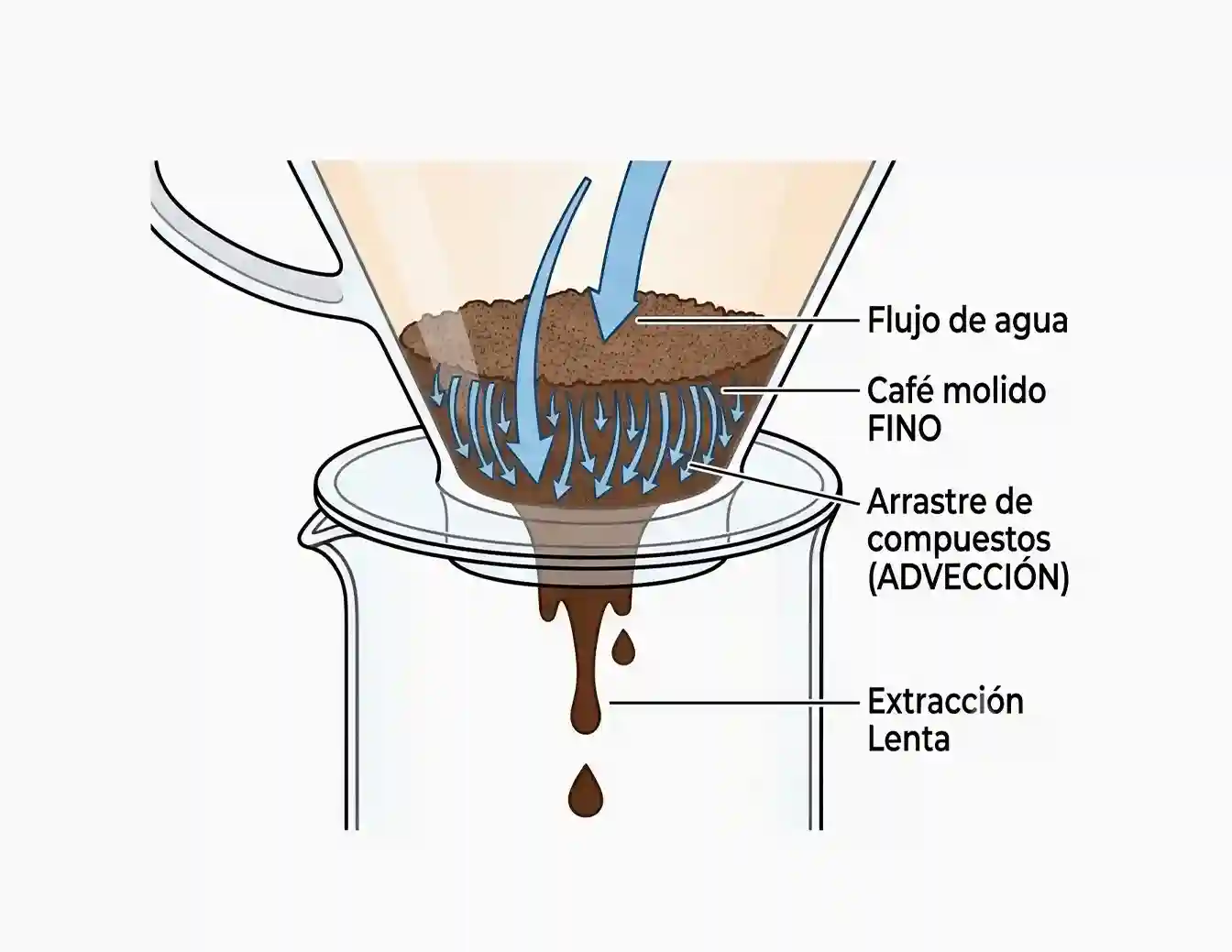 Extracción con molienda fina
