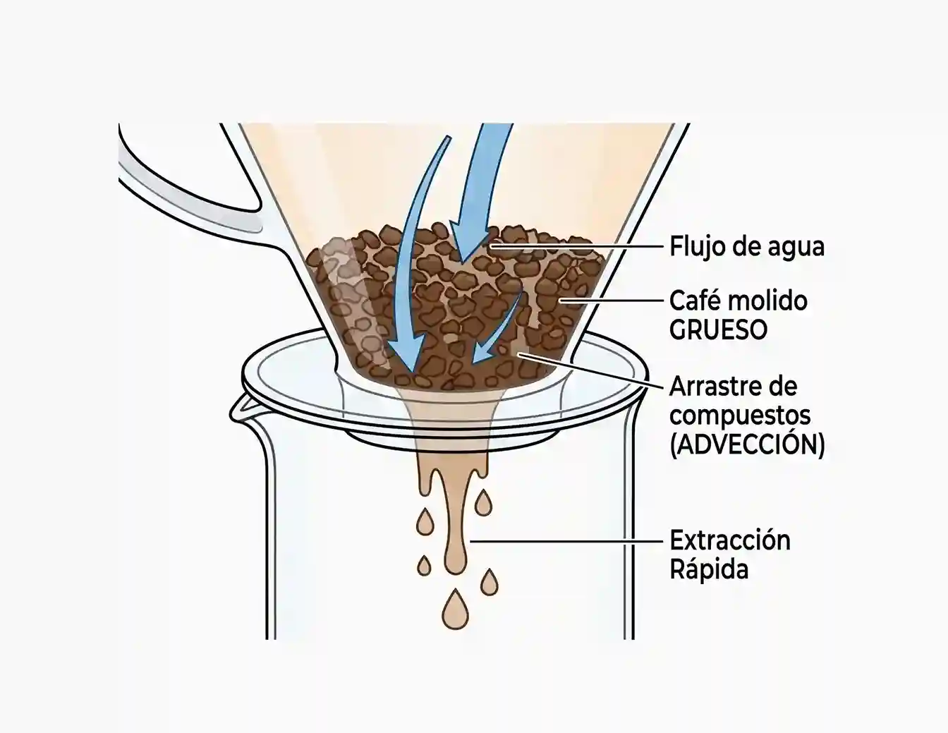 Extracción con molienda gruesa